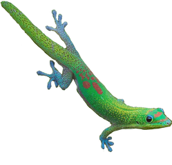 Reptile Transparent Sticker - Carolina Anole Png