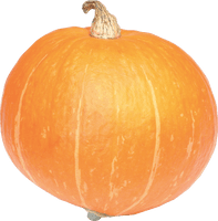 Jack-O-Lantern Halloween Free HD Image - Free PNG