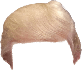 Donald Trump Hair Png Transparent 5 - Trump Hair Png