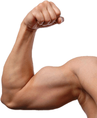 Muscle - Transparent Background Muscular Arm Png