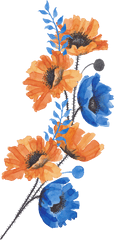 Bouquet Of Flowers - Transparent Image Of Bouquet Of Flower Blue And Orange Flower Png
