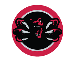 Toronto 905 Brand Logo Nba Raptors - Free PNG