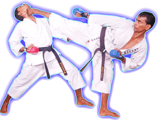 Karate Kick Png Transparent Image Arts - Karate Kick Images Png