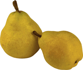 Pear Png Images Free Download - Pears Png