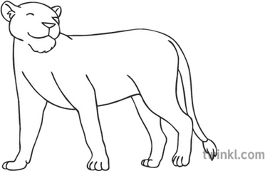 Happy Lioness Black And White - Line Art Png