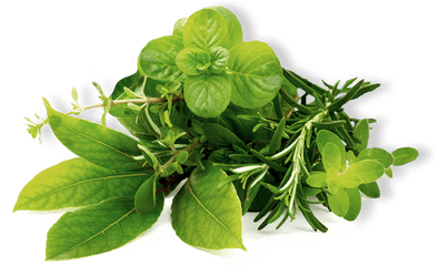 Herb Png Image Hd - Transparent Herbal Leaf Png