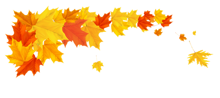 Autumn Golden Leaf Photos HD Image Free - Free PNG