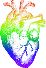 Download Rainbow Heart Png Image With - Realistic Pencil Heart Drawing