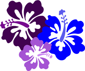 Free Luau Clipart Vectors Psd - Hibiscus Clip Art Png