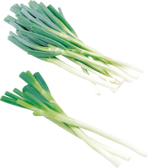 Hd Leek Png Download Image - Leek