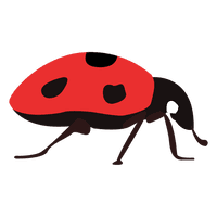 Ladybug Insect Vector Download HD - Free PNG