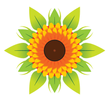 Vector Sun Flower PNG Image High Quality