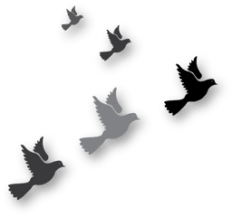 Download Hd Graphic Of Birds Flying - Bird Transparent Png Flock