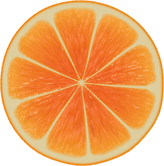 Orange Slices Png - Boy Scouts Of The Philippines