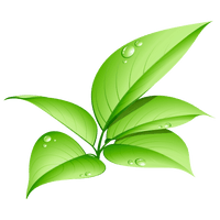 Pic Vector Green Leafs PNG Image High Quality