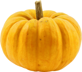 Squash - Squash Png