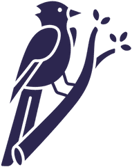 Blue Jay Bird Black - Transparent Png U0026 Svg Vector File Blue Jay Bird Svg