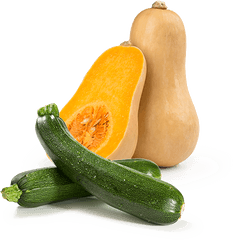 Squash Cucurbit - Zucchini Green Png