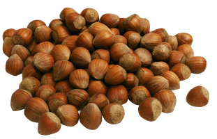 Photos Edible Hazelnut Download Free Image - Free PNG