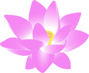 Flower Water Lily - Pink Clipart Lotus Flower Png