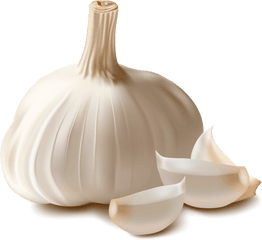 Garlic Icon Clipart - Garlic Png