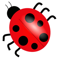 Bugs Transparent - Free PNG