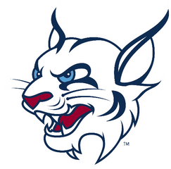 Bobcat - St Thomas University Bobcats Png