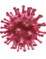 Coronavirus Disease Free Clipart HD - Free PNG