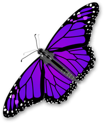 Download Purple Butterfly Transparent - Transparent Background Butterfly Clipart Png