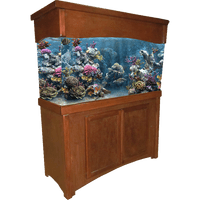 Aquarium Furniture HD Image Free PNG