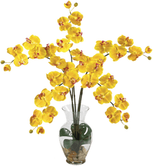 Classical Flower Vase Png Clipart Mart - Transparent Flower With Vase Png