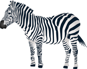 Zebra Png Clipart Logo