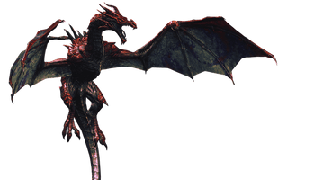 Realistic Dragon Photos - Free PNG