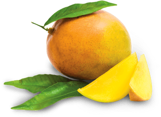 Mango Fruit Png Clipart Free Download - Free Mango Lichi