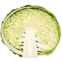 Cabbage Green Half Free Download PNG HD