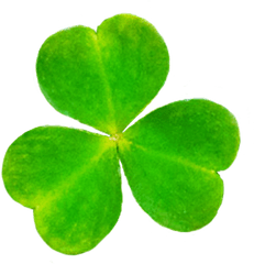 St Patricku0027s Day Clipart - St Patricks Day Png