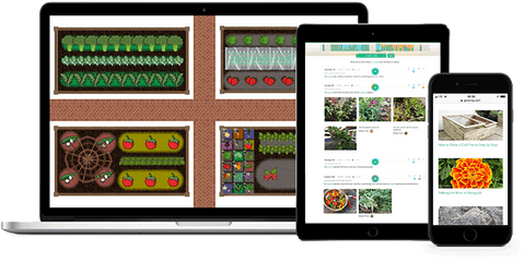 Square - Design A Vegetable Garden Layout Png