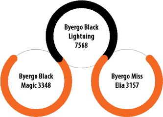 Wall Street Cattle Co Byergo Black Lightning 7568 - Circle Png