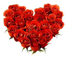 Bouquet Of Roses Png Image Picture Download