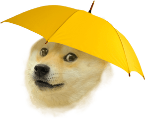 Hd Rain Doge Transparent Png Image - Dog Meme Png Transparent