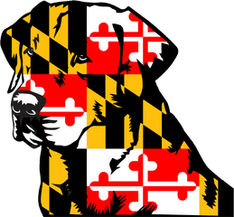 Download Maryland 3u0027x5u0027 Flag Usa United States - Full Size Maryland State Flag Png