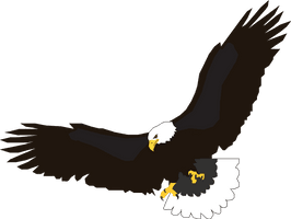 Flying Eagle Png Image Download