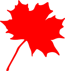 Maple Red Leaf - Maple Leaf Clip Art Png