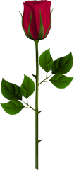 Red Rose Bud Png Free - Rose Bud Png