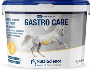 Gastrocare Supplement For Horses - Supplement For Horses Png