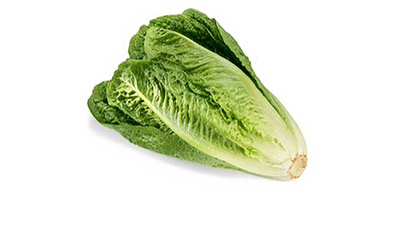 Romaine Lettuce Png Download Image - Romaine Lettuce