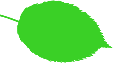 Bio Nature Leaf - Free Image On Pixabay Verde Icono Hojas Png