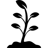 Growing Plant Free Download Image - Free PNG