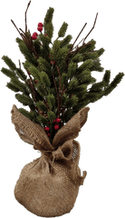 Gisela Graham Christmas Table Decoration - Rustic Tree Houseplant Png