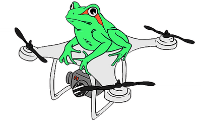 Virtual Tour Aerial Frog New Mexico - Bullfrog Png